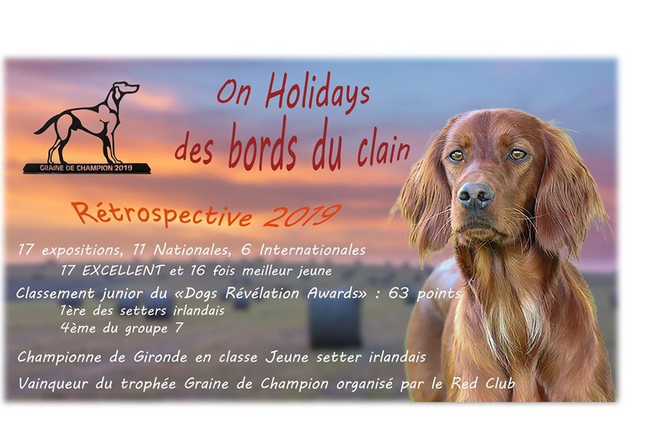Des Bords Du Clain - CHAMPIONNE JEUNE DE GIRONDE 2019 ON HOLIDAYS DES BORDS DU CLAIN